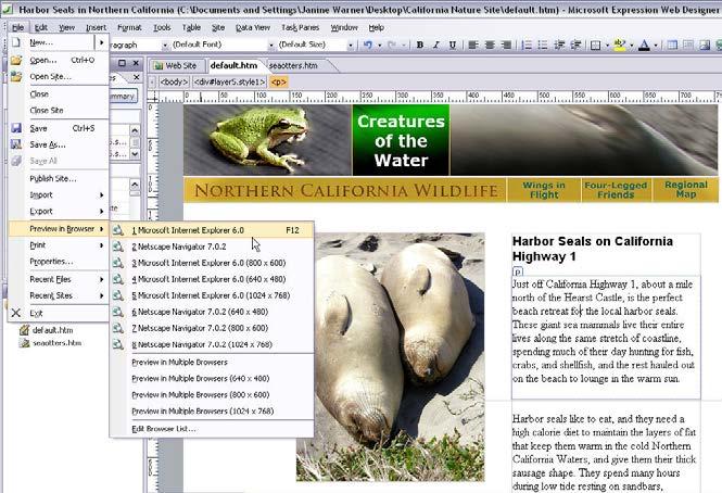 With your page previewed in a program like Internet Explorer, shown here, you can click on your link and open the page you created with the headline Sea Otters.