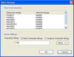 Process Changing several picture file names at one time (Batch renaming) Changing several picture file names at one time (Batch renaming) You can change the names of files in numerical serial