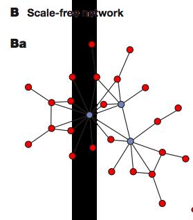 Network Graph Theory Types SCALE FREE NETWORK Network Graph Theory Types SCALE FREE NETWORK