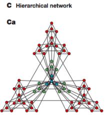 shorter than logn for random networks Network Graph Theory Types HIERARCHICAL NETWORK Network