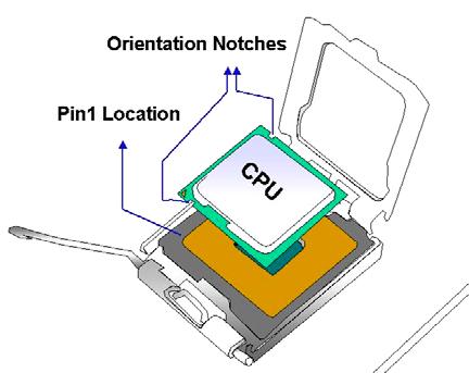 Figure 5-4: Insert the LGA775 CPU Step 8: Close the CPU socket. Close the load plate and engage the load lever by pushing it back to its original position.