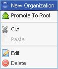 Once you have created your organization hierarchy, you now have more options when you click on an organization unit: New Organization: adds an organization unit directly under the current choice