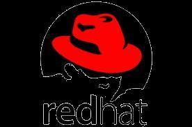 Collaboration with RedHat Services : Mixed team at the beginning of the project : incl. RedHat experts, architects to setup the platform.