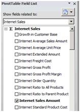 Figure 27 The pivot table Fields list 16. Scroll down the list of fields and locate the Customer section.