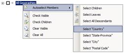The Select Members dialog will appear. Figure 61 The Details pane 21. Right click the All Geographies member. Expand the Autoselect Members menu.