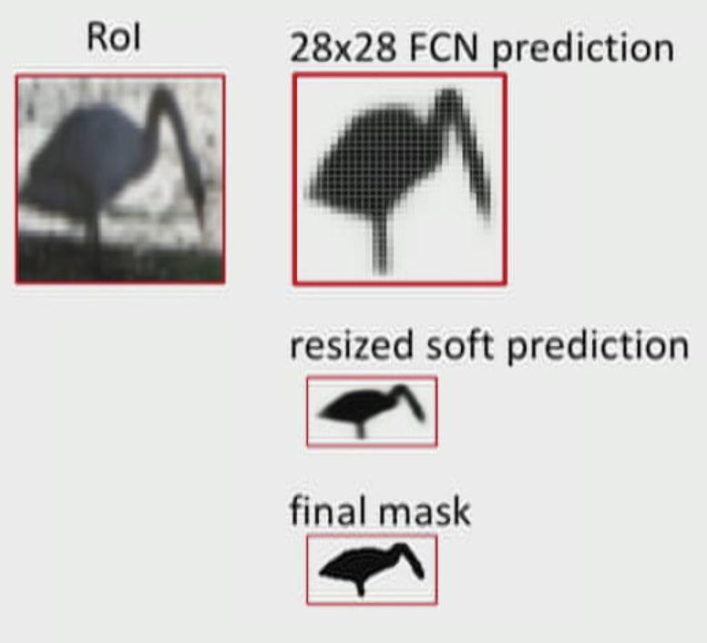 Binary Mask Prediction Dimension: Km2 K represents for class number m2