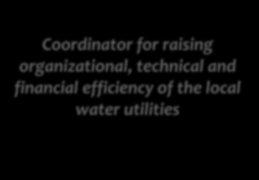efficiency of the local water utilities