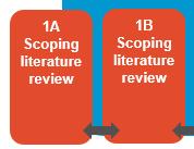 1A + 1B Theory identification Literature review Aims: 1) To specify different symptom fluctuation phases.