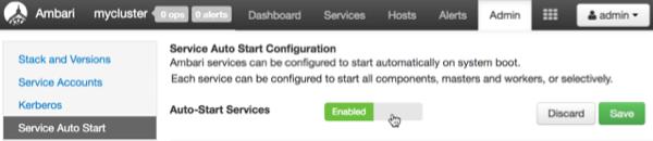 2. In Service Auto Start Configuration, click the grey area in the Auto-Start Services control to change