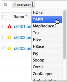 3. Click an option, (in this example, the YARN service).