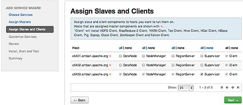 If you are adding a service that requires slaves and clients, in the Assign Slaves and Clients control, accept the default assignment of slave and client components to hosts by clicking Next.