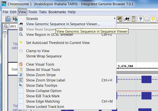 Click View -> View Genomic Sequence