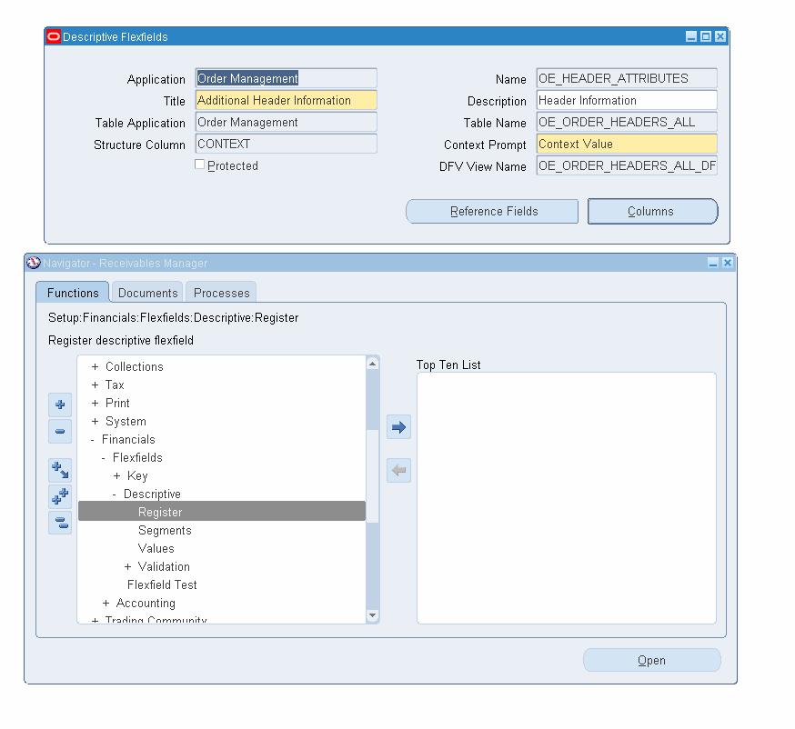 The descriptive flexfield details are displayed. These details should match the returned object in the WebSphere Integration Developer test client.