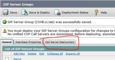 Select the Call Server Deployment tab. f.