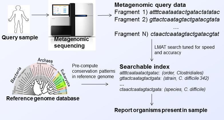Metagenomic analysis conducted on an unprecedented scale using NVRAM and Catalyst Search index is too large to fit in