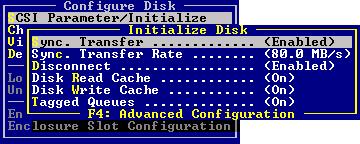 Select a device and press Enter to display the Configure Disk screen. Select SCSI Parameter/Initialize option and press Enter to display the Initialize Disk window (Figure 10-71).