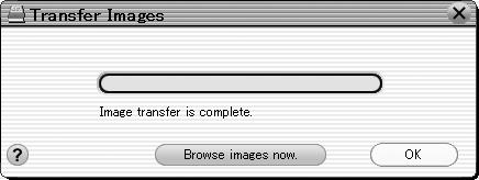 Select All images below the Transfer Images button and click Transfer Images.