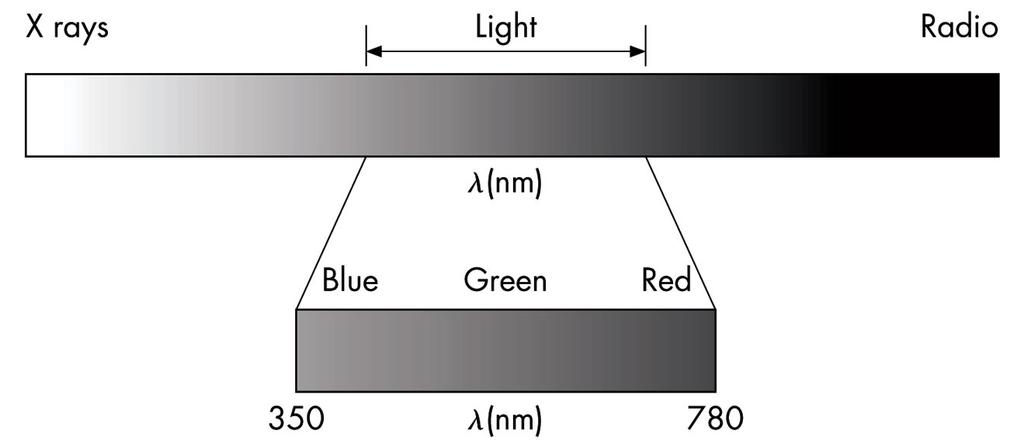 Light Light is the (visible) part of the electromagnetic spectrum that causes a reaction in our visual systems Generally these are wavelengths in the