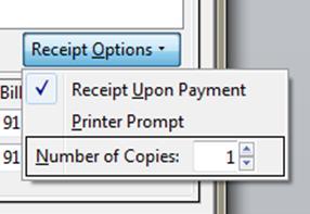 Paying a Fine In the Payment Received box enter the amount and click Apply Payment. A receipt may be printed but the option to print a receipt must be set up before the payment is made.
