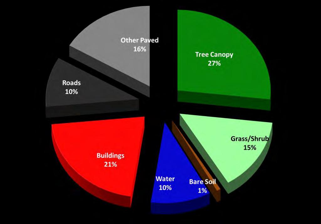 Tree Canopy Report Results How much tree canopy in Cambridge?