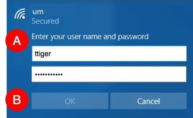 3. You will be prompted to (A) enter your username (first part of your email address) and password. In this example, Tom Tiger s user name is used (ttiger).