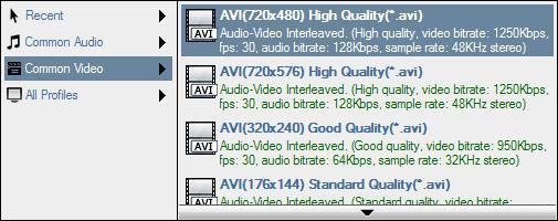 Common Video: AVI(720X480) High Quality, AVI(720X576) High Quality, AVI(320X240) Good Quality, AVI(176X144) Standard Quality, AVI(320X240) Customized, ASF(720X480) High Quality, ASF(720X576) High