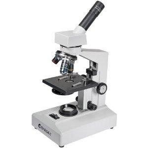 Types of Microscopes Light Microscope - the models found in most schools, use compound lenses to magnify objects.