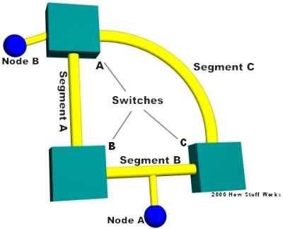 With all of the switches now connected in a loop, a packet from a node could quite possibly come to a switch from two different segments.