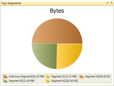 You can set the refresh interval for the Real-Time Data pane by right-clicking in it. The Top Segments pane The Top Segments pane displays the top network segments of the application in a pie chart.