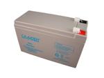 POE-12V7AHLEADACID 12V 7Ah sealed lead acid battery (please do not order this product for