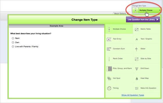 3. Change Item Type The green Change Item Type button allows you to change the type of question
