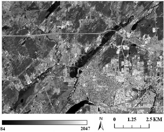 Figure 3. Illustration of NIR band of 4 m Ikonos images for the study area located in the western part of the City of Kingston, Ontario, Canada.