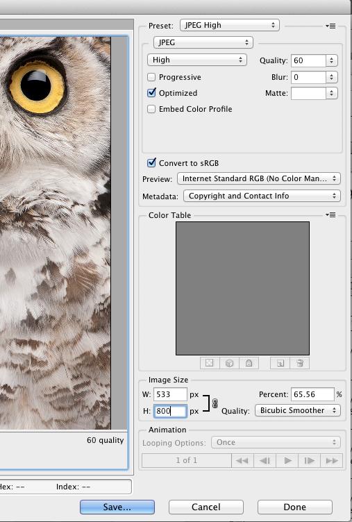 SAVING AND EXPORTING FILES: WEB To save as JPEG, choose File > Save for Web. In the dialog box: 1. Choose a JPEG preset from the Preset menu, or choose JPEG from the second menu. 2.