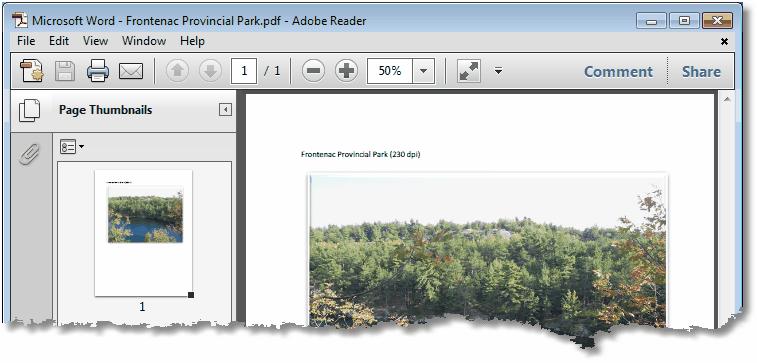 Open the File When opened, the PDF file displays the Pages panel on the left hand side, and the first page of the