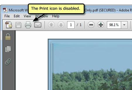 3. View the Read-only File Once created the document can be opened and viewed using any PDF viewer but it cannot be printed, nor can any content,