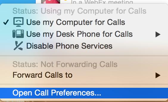 When you receive an incoming call, you can reply with a chat message, decline the call, or answer the call.