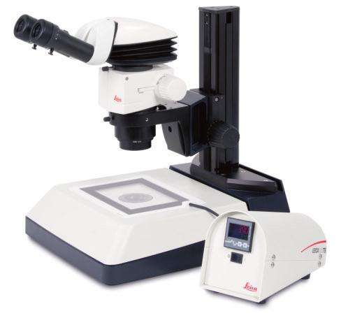 The Correct Base Incident light or transmitted light? A wide selection of stereomicroscope bases is available.