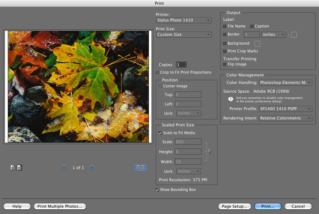 8. Select Stylus Photo 1410 in the Printer list, if necessary. 9. Select Photoshop Elements Manages Colors as the Color Handling setting. 10.