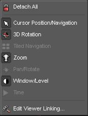 View window Tools Detaching viewers from groups temporarily If viewers are linked but you want to apply a particular processing step to one viewer only, you can detach this viewer from its group. 1.
