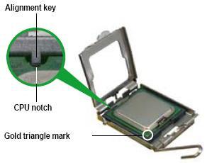 Position the CPU over the socket, making sure that the gold triangle is on the bottom-left corner of the socket then fit the socket alignment