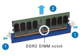 Align a DIMM on the socket such that the notch on the DIMM matches the break on the socket. 3.