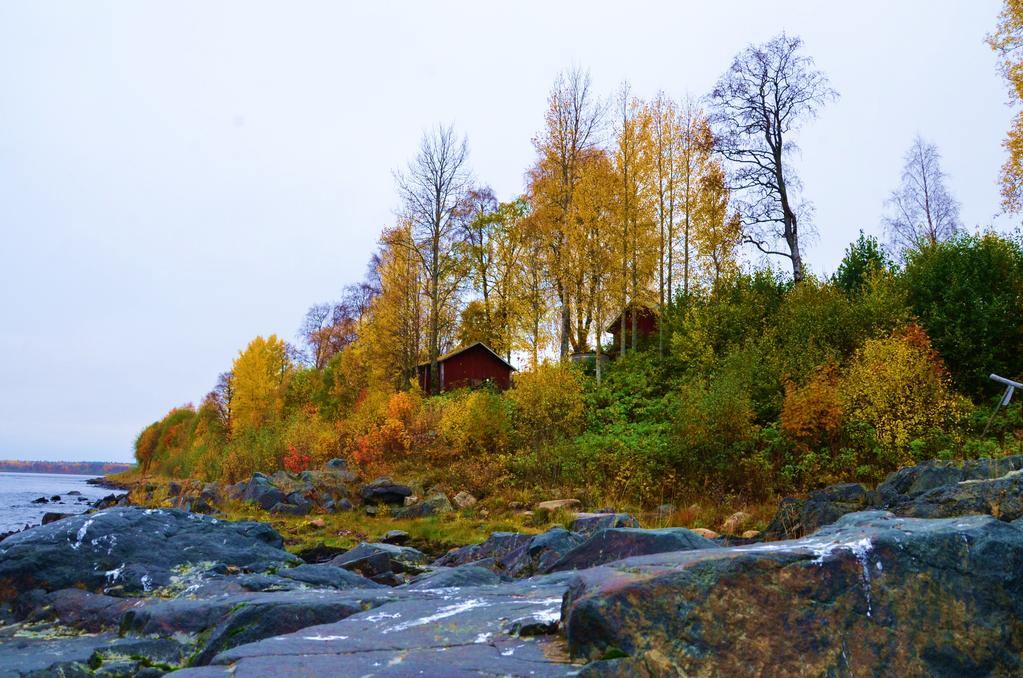 MEÄN SAUNA Inventory of old smoke saunas in the Swedish Torne river valley using