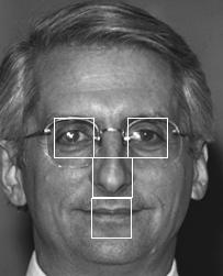 2 Benavente, contains over 3 mug shots of 35 individuals (76 males and 59 females) with different facial expressions, illumination conditions and occlusions.