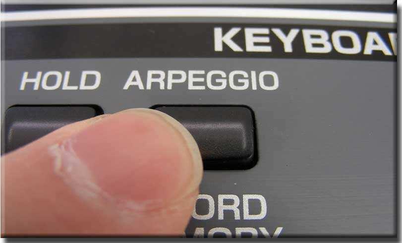 13-1) Press ARPEGGIO to turn it on. Hold the C1 key. The notes will be played automatically.
