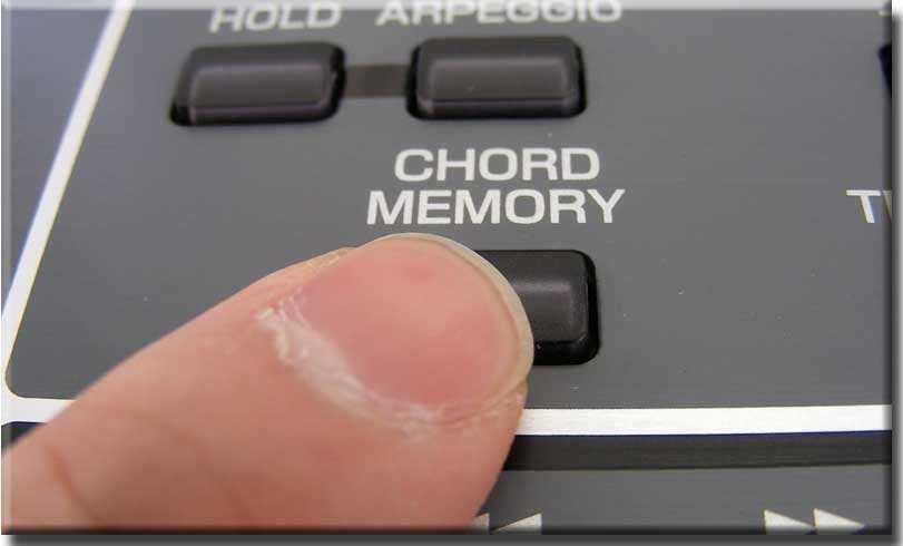 Hold the C1 key again. It ll automatically play different notes in the key of C Major.
