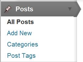 BLOGGING: WORDPRESS EXAMPLE New Blog entries are called Posts Use Categories to organize your posts by topic or theme If you have ever typed and formatted an email or Word