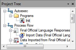 The Autoexec process flow. Runs when the project is first opened.