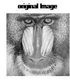 Fig.1. 512*512 baboon image Fig.3.256*256 baboon image.4. average BER versus per message block distortion L=63, K=4 messages of 1K bits each Comparing with Fig.