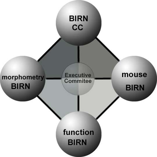BIRN Testbeds - Overview Morphometry BIRN Brain Structure in AD, MCI, Depression Function BIRN Activation Differences in Schizophrenia Mouse