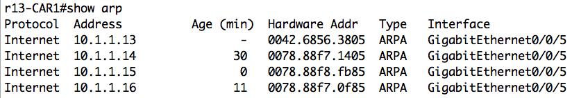 Check the ARP table on CE routers to compare the MAC addresses: show arp APNIC MPLS Workshop Lab Check the connectivity between CE routers